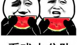 娱乐吃瓜酱专属梗是什么,网络热词背后的趣味与智慧